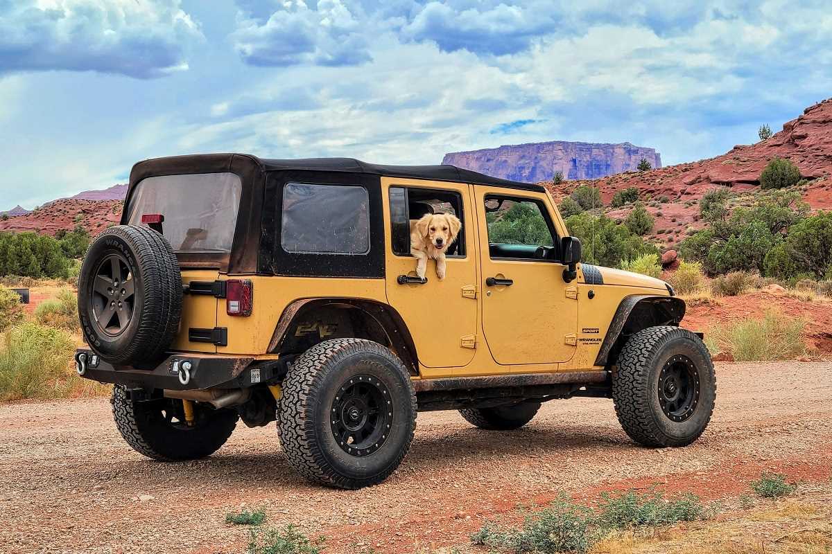 The Best Off-Road Adventures for Thrill Seekers in 2024